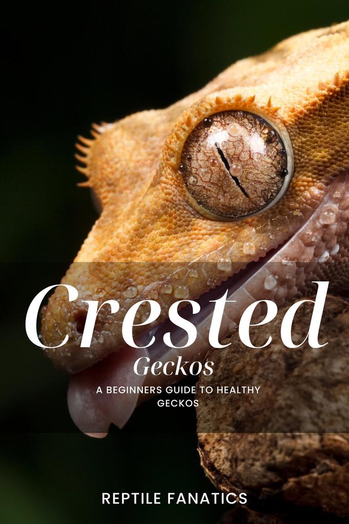 Crested Geckos: A Beginner‘s Guide to Happy and Healthy Geckos