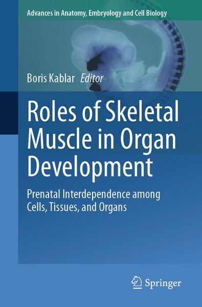 Roles of Skeletal Muscle in Organ Development
