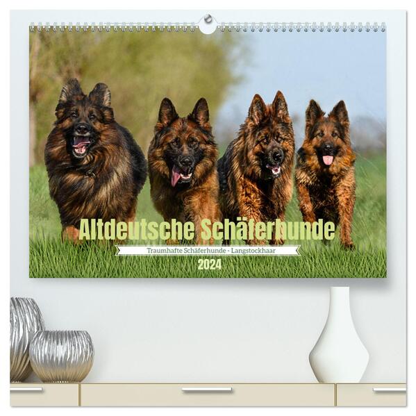 Altdeutsche Schäferhunde - Traumhafte Schäferhunde Langstockhaar (hochwertiger Premium Wandkalender 2024 DIN A2 quer) Kunstdruck in Hochglanz