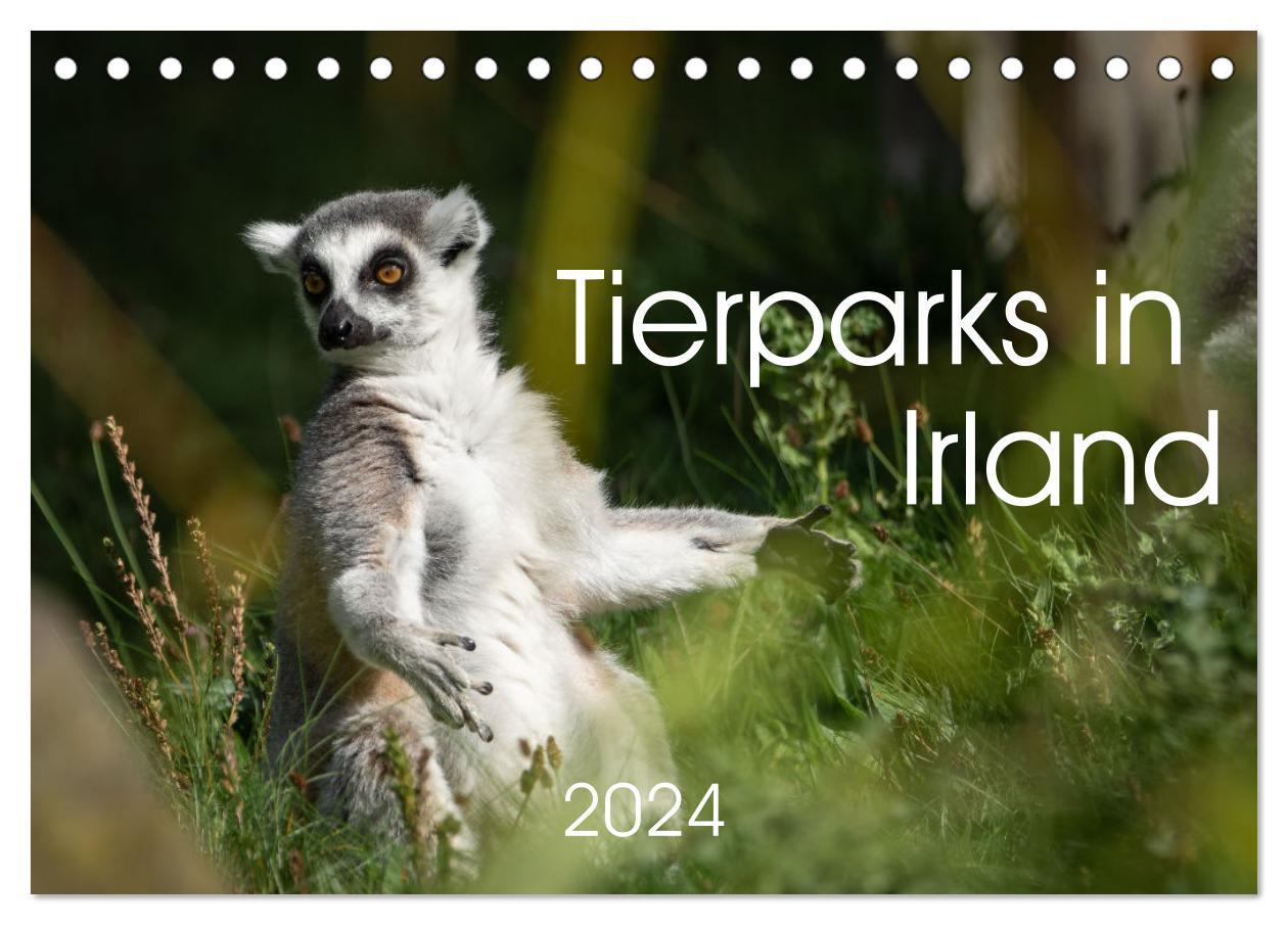 Tierparks in Irland (Tischkalender 2024 DIN A5 quer) CALVENDO Monatskalender