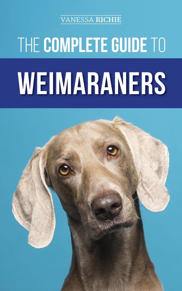 The Complete Guide to Weimaraners