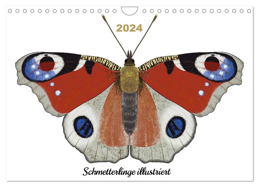 Schmetterlinge illustriert (Wandkalender 2024 DIN A4 quer) CALVENDO Monatskalender