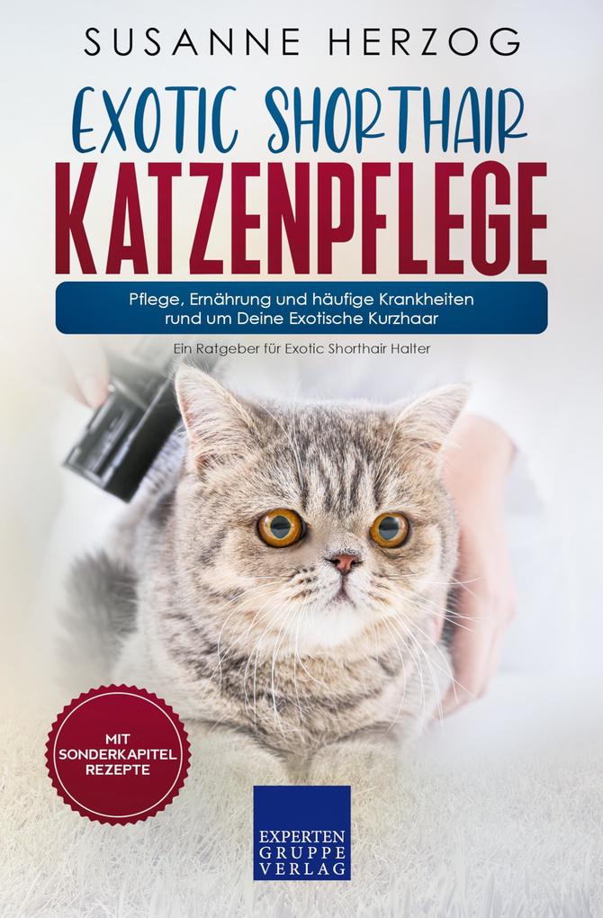 Exotic Shorthair Katzenpflege - Pflege Ernährung und häufige Krankheiten rund um Deine Exotische Kurzhaar
