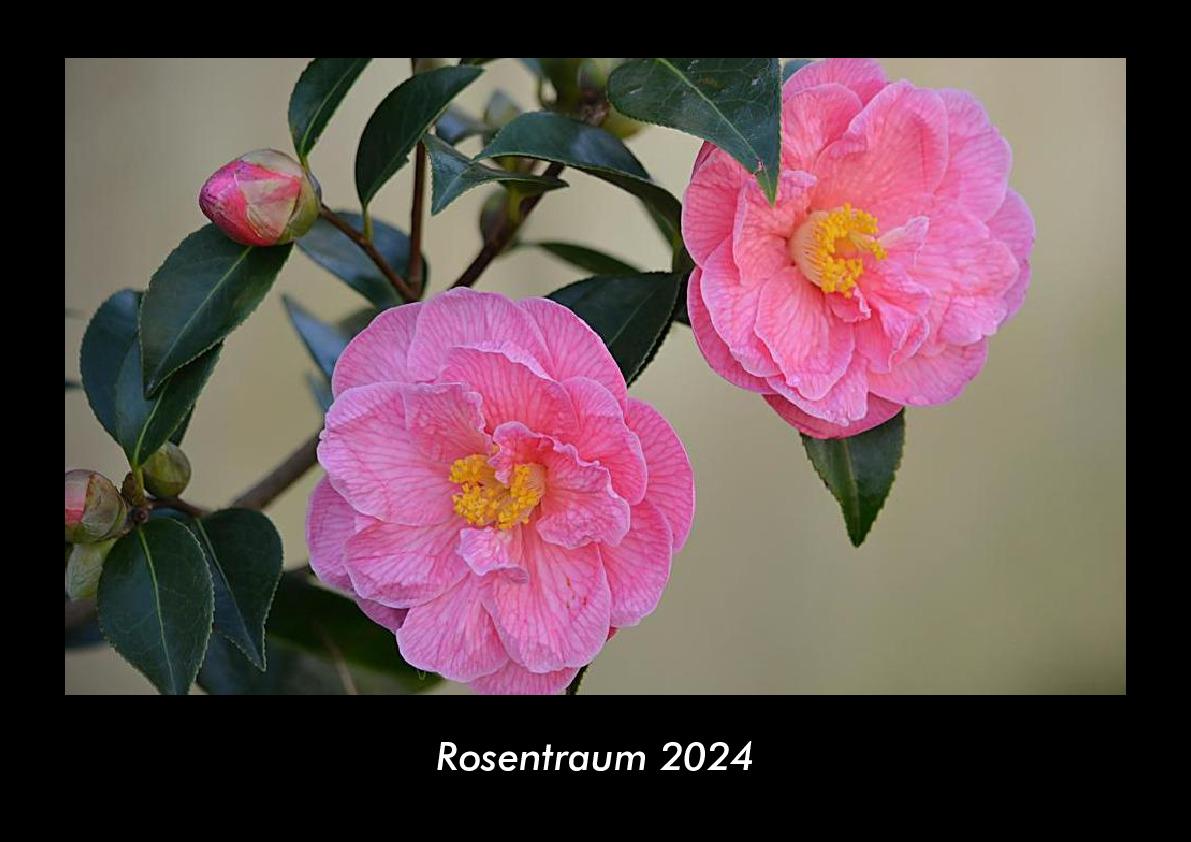 Rosentraum 2024 Fotokalender DIN A3