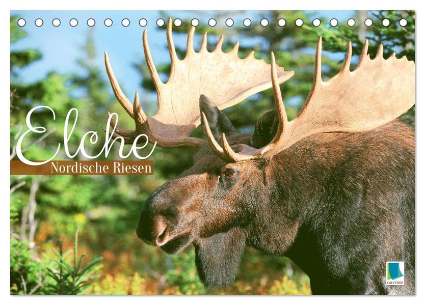 Elche: Nordische Riesen (Tischkalender 2024 DIN A5 quer) CALVENDO Monatskalender