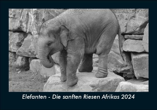 Elefanten - Die sanften Riesen Afrikas 2024 Fotokalender DIN A5