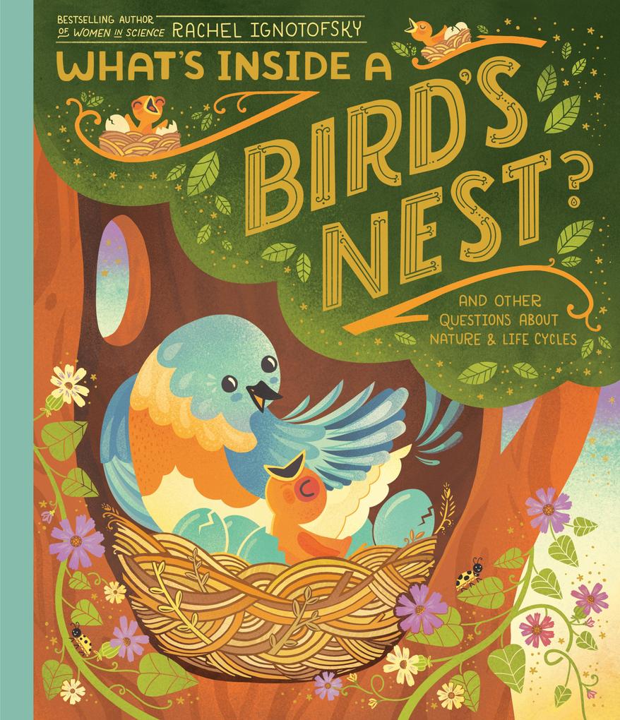 What‘s Inside A Bird‘s Nest?