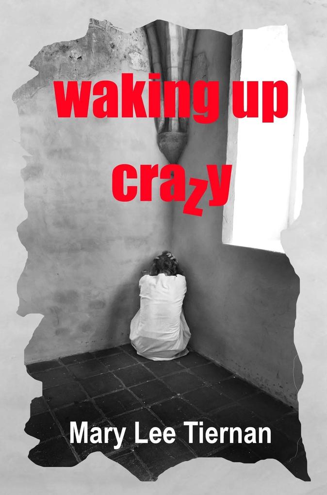 Waking Up Crazy (Dreams Untangled #2)