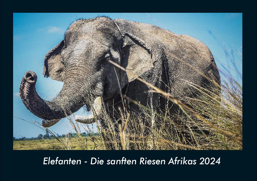Elefanten - Die sanften Riesen Afrikas 2024 Fotokalender DIN A4