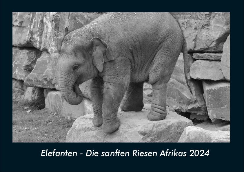 Elefanten - Die sanften Riesen Afrikas 2024 Fotokalender DIN A4