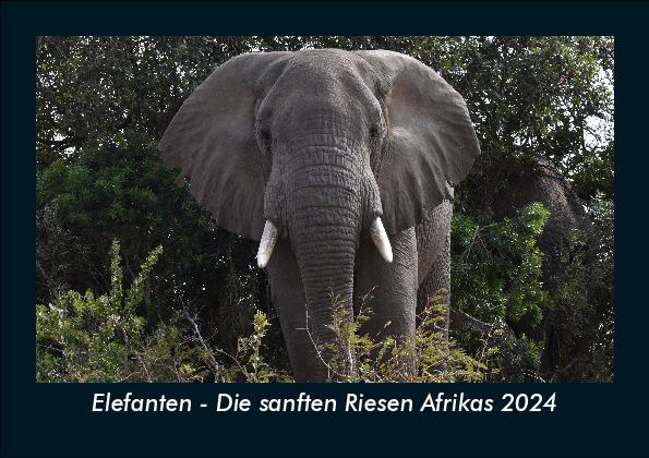Elefanten - Die sanften Riesen Afrikas 2024 Fotokalender DIN A5