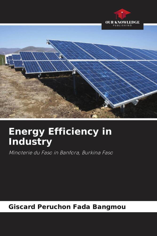 Energy Efficiency in Industry
