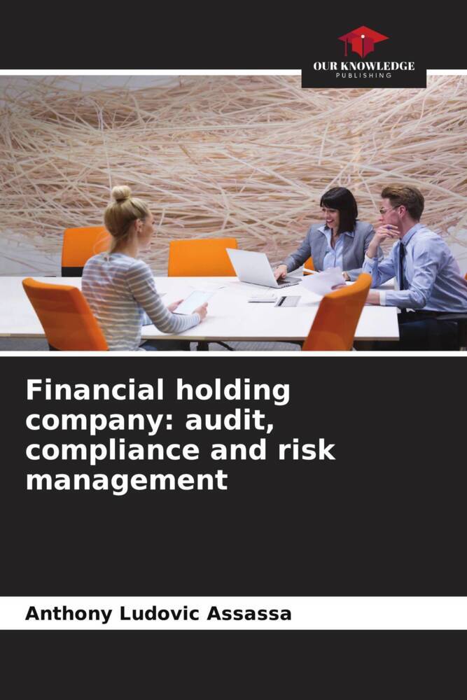 Financial holding company: audit compliance and risk management