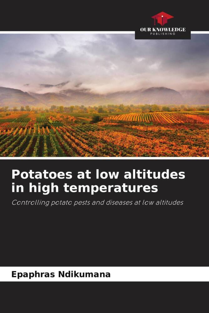 Potatoes at low altitudes in high temperatures