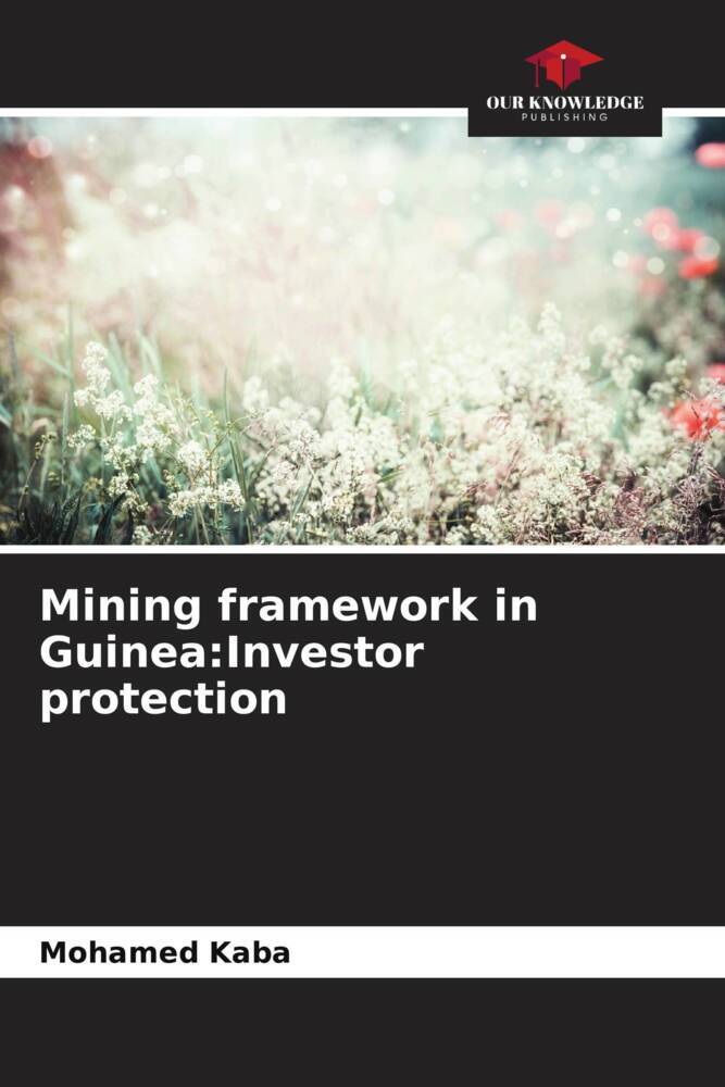 Mining framework in Guinea:Investor protection