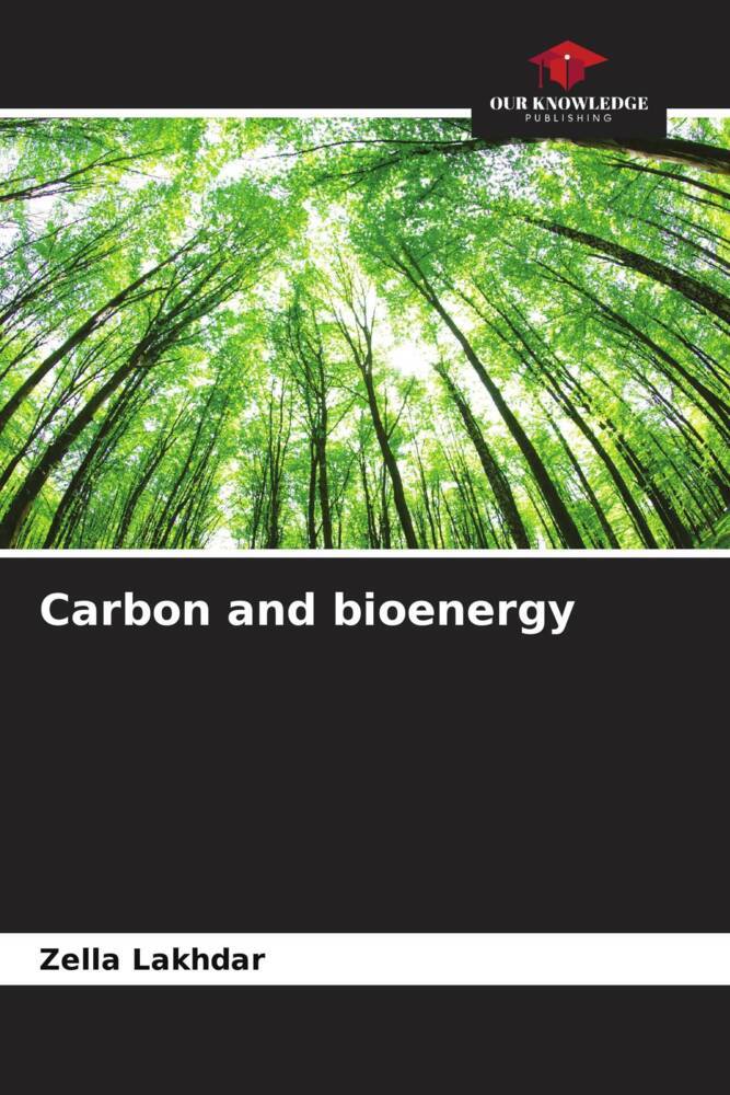 Carbon and bioenergy