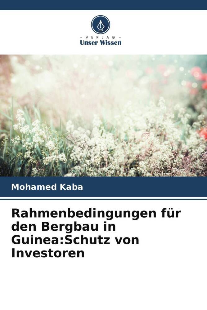 Rahmenbedingungen für den Bergbau in Guinea:Schutz von Investoren