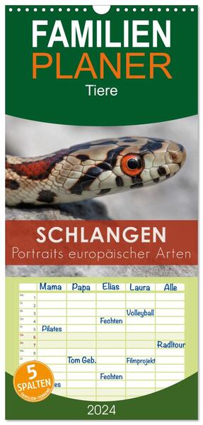 Familienplaner 2024 - Schlangen - Portraits europäischer Arten mit 5 Spalten (Wandkalender 21 x 45 cm) CALVENDO