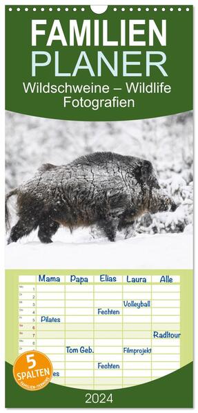Familienplaner 2024 - Wildschweine Wildlife Fotografien mit 5 Spalten (Wandkalender 21 x 45 cm) CALVENDO