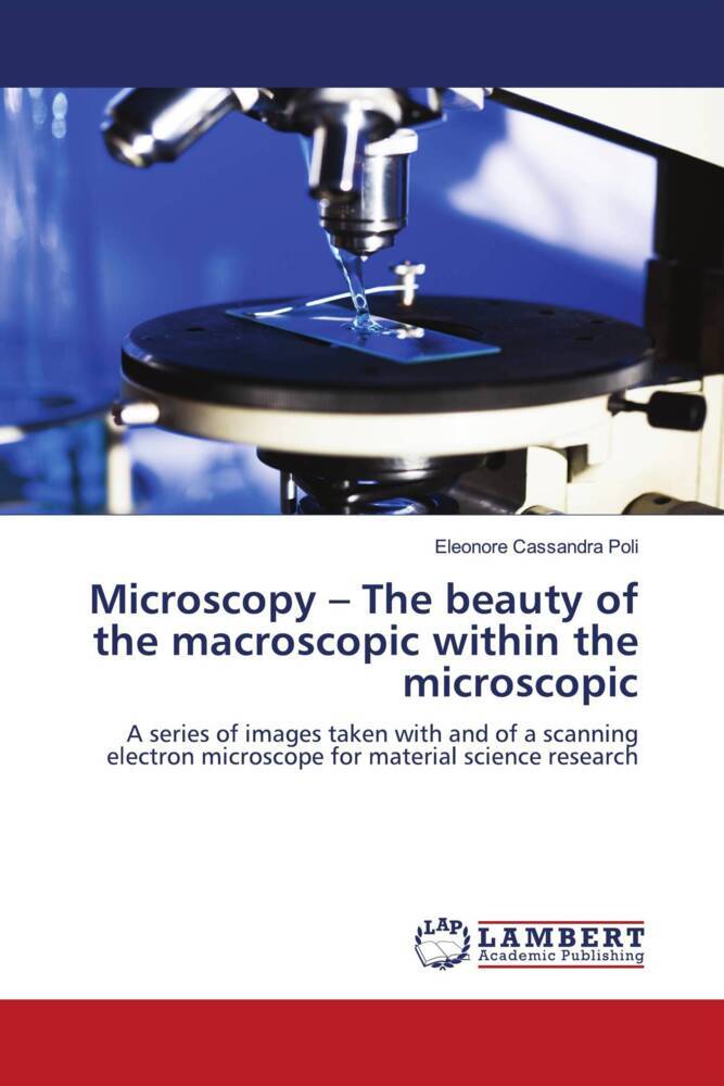 Microscopy - The beauty of the macroscopic within the microscopic