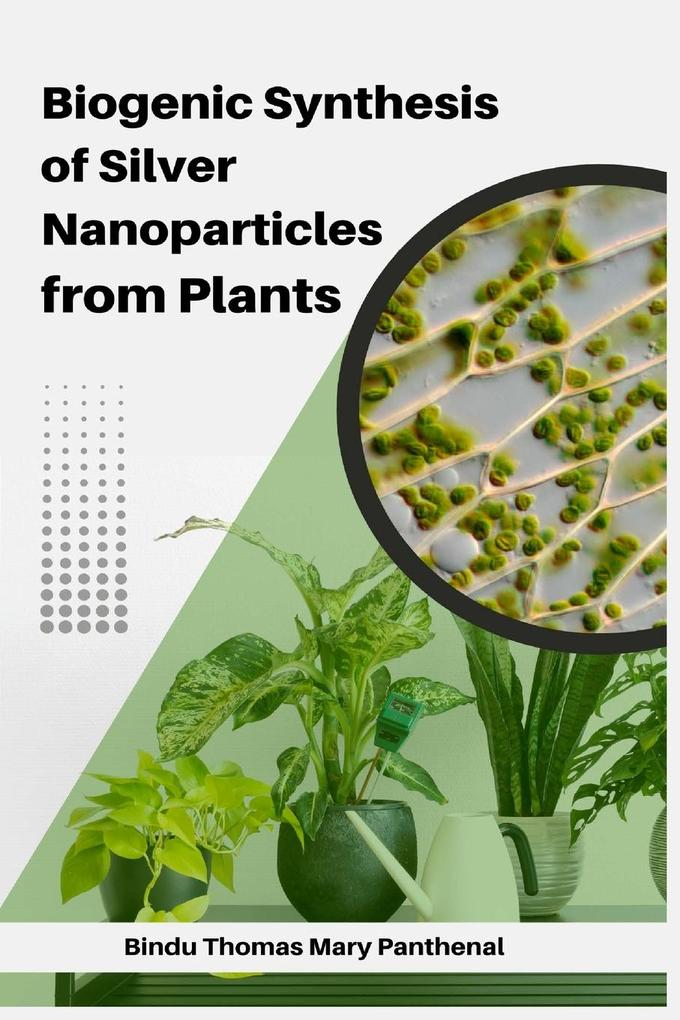 Biogenic Synthesis of Silver Nanoparticles from Plants