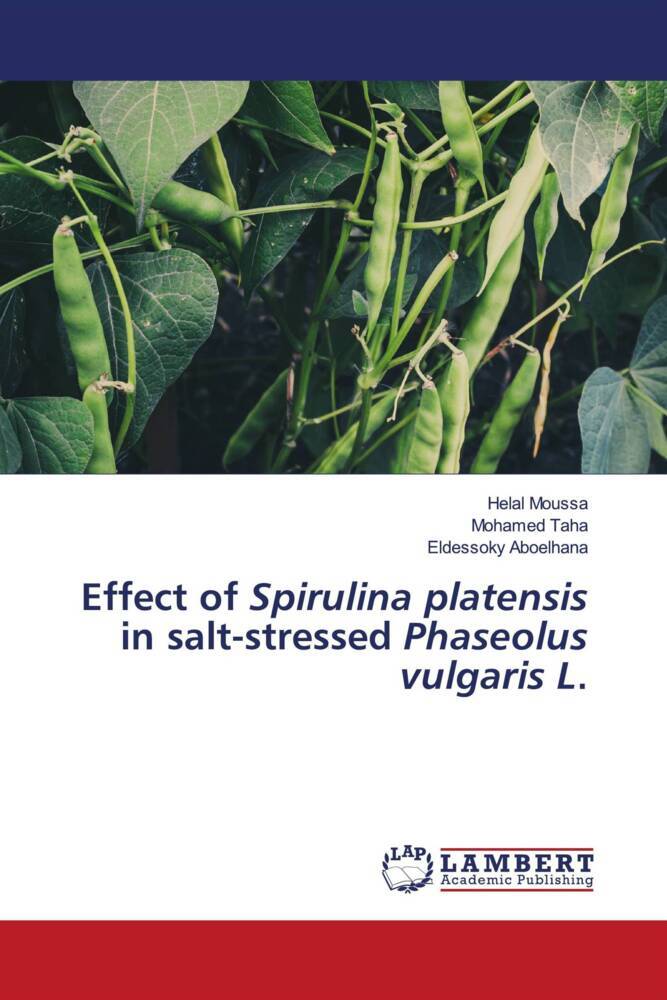 Effect of Spirulina platensis in salt-stressed Phaseolus vulgaris L.