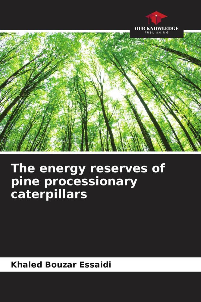 The energy reserves of pine processionary caterpillars