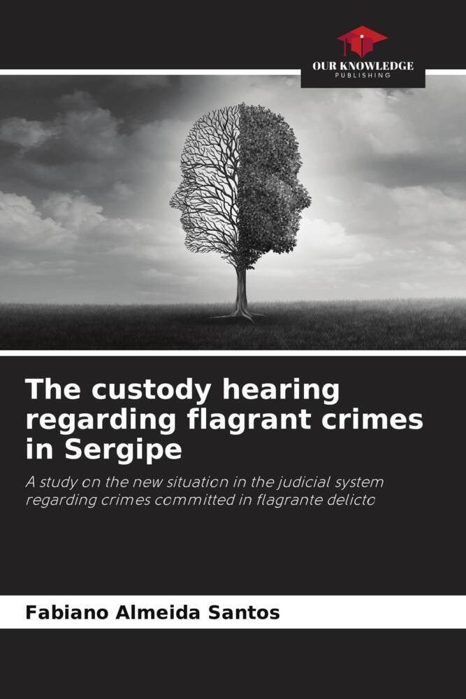 The custody hearing regarding flagrant crimes in Sergipe