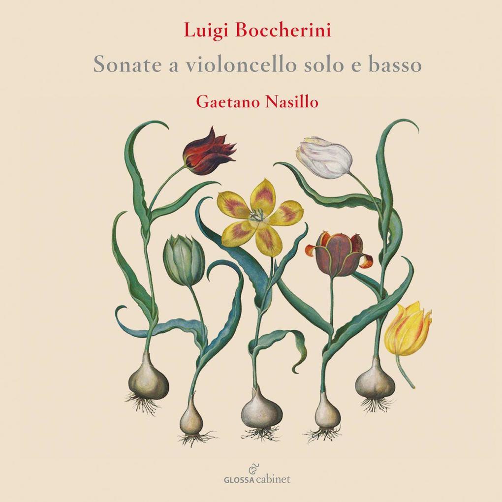 Flute Concertos