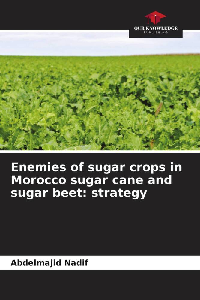 Enemies of sugar crops in Morocco sugar cane and sugar beet: strategy