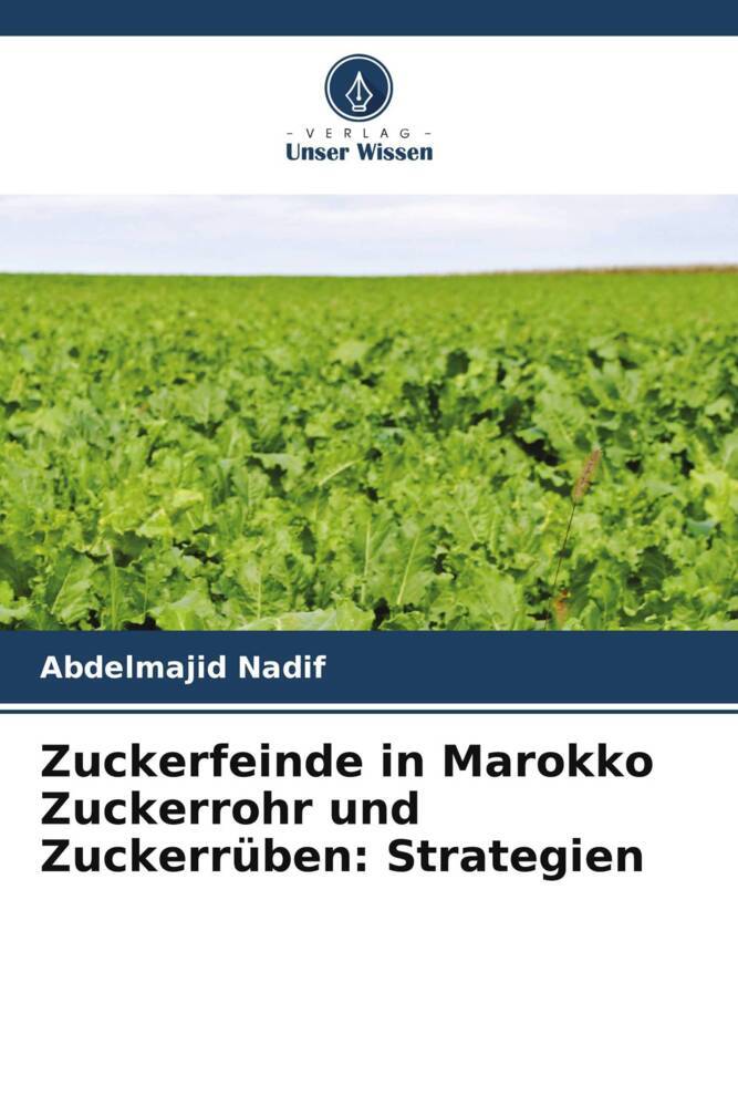 Zuckerfeinde in Marokko Zuckerrohr und Zuckerrüben: Strategien