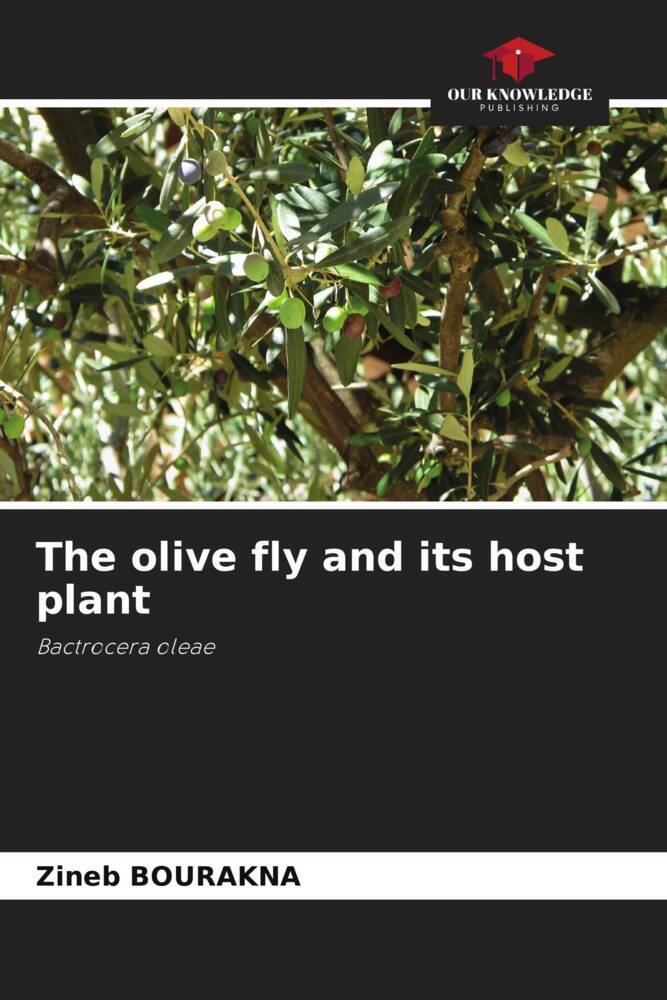 The olive fly and its host plant
