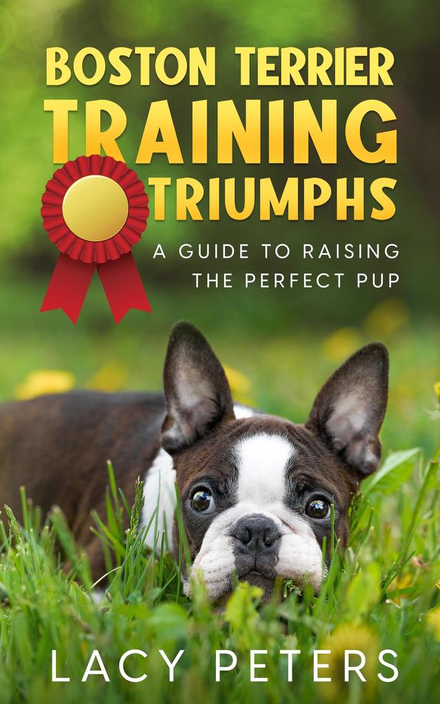 Boston Terrier Training Triumphs