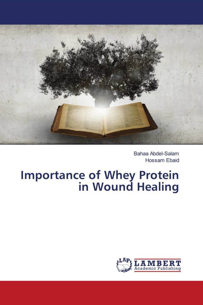 Importance of Whey Protein in Wound Healing