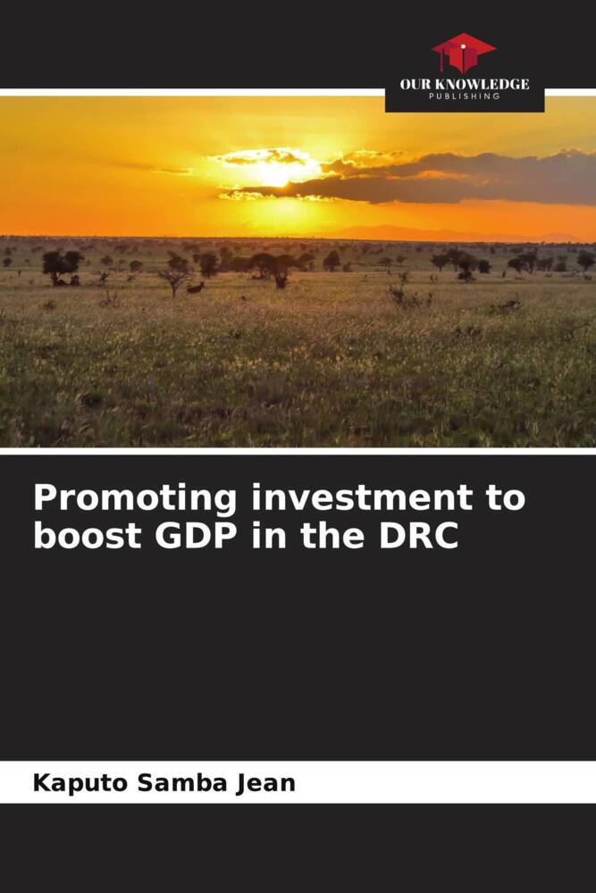 Promoting investment to boost GDP in the DRC