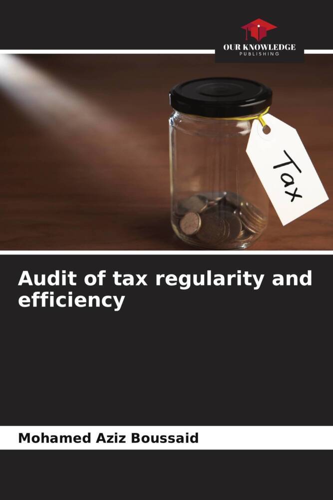 Audit of tax regularity and efficiency