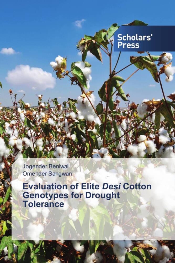 Evaluation of Elite Desi Cotton Genotypes for Drought Tolerance