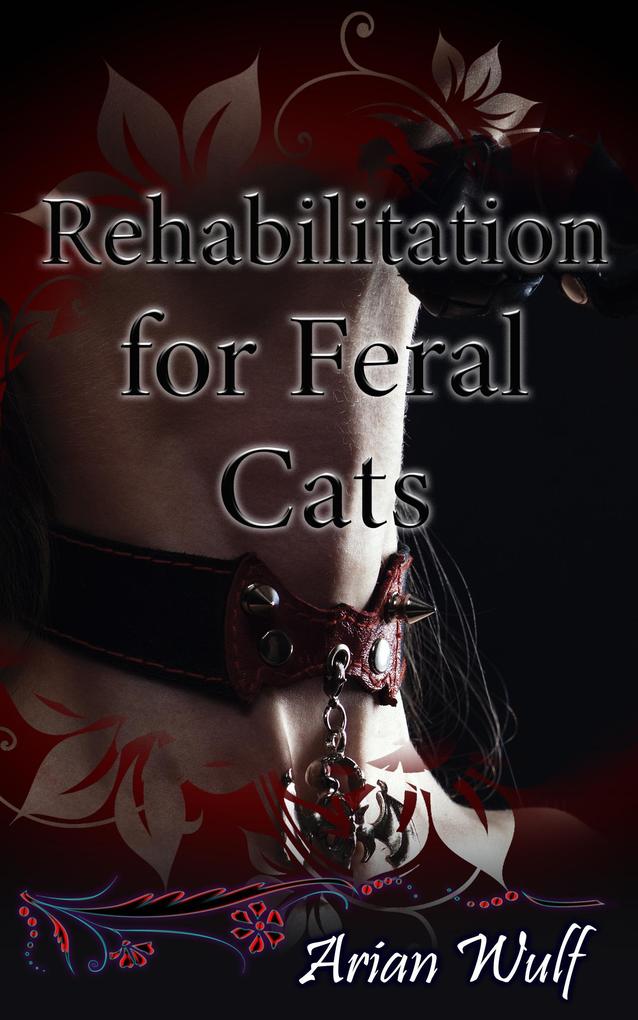 Rehabilitation for Feral Cats (Supernatural Romance)