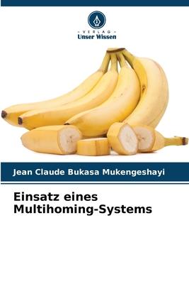 Einsatz eines Multihoming-Systems