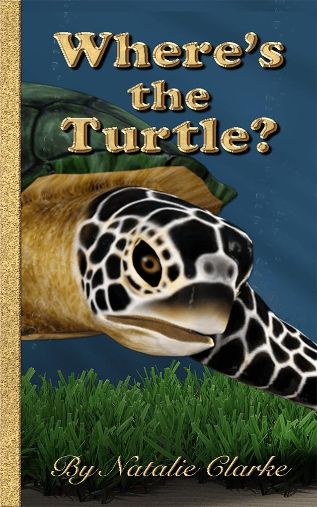 Where‘s the Turtle?