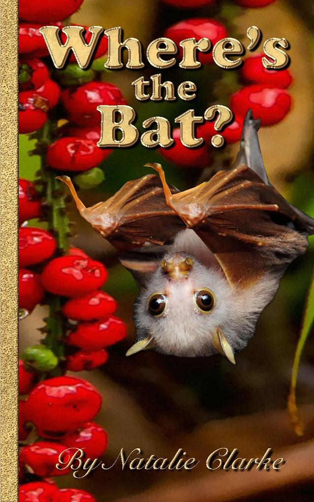 Where‘s the Bat?