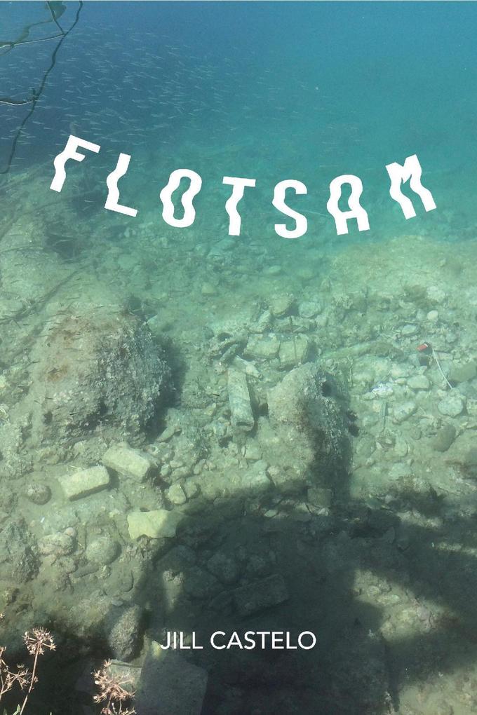 Flotsam (The Artemesis Mysteries #1)