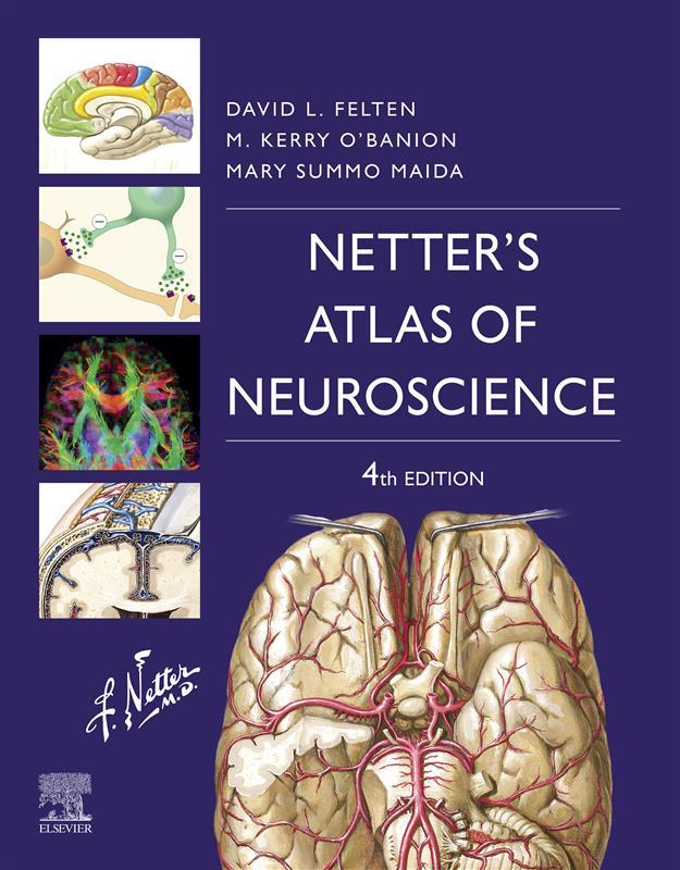 Netter‘s Atlas of Neuroscience E-Book