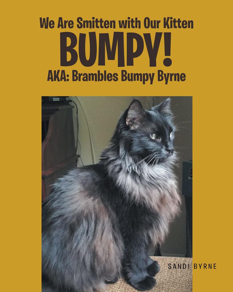 We Are Smitten with Our Kitten Bumpy! AKA: Brambles Bumpy Byrne