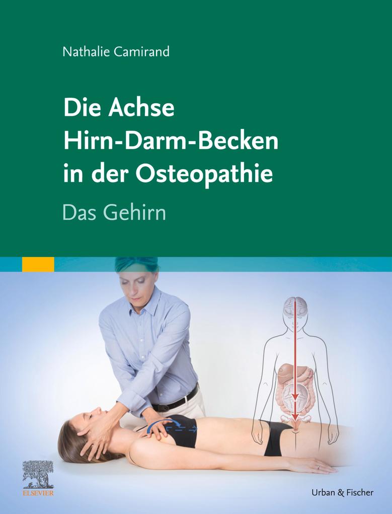 Die Achse Hirn-Darm-Becken in der Osteopathie