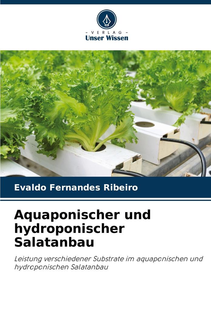 Aquaponischer und hydroponischer Salatanbau