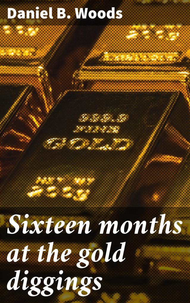 Sixteen months at the gold diggings