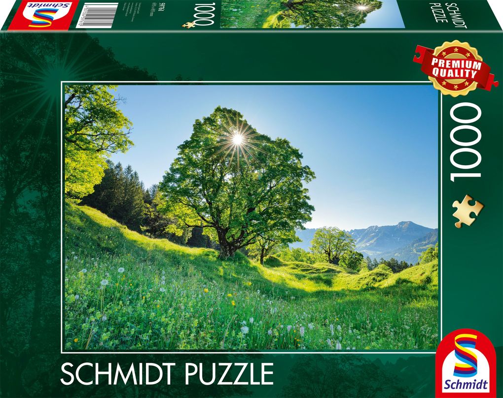 Berg-Ahorn im Sonnenlicht St. Gallen Schweiz