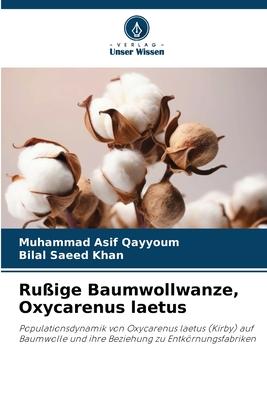 Rußige Baumwollwanze Oxycarenus laetus