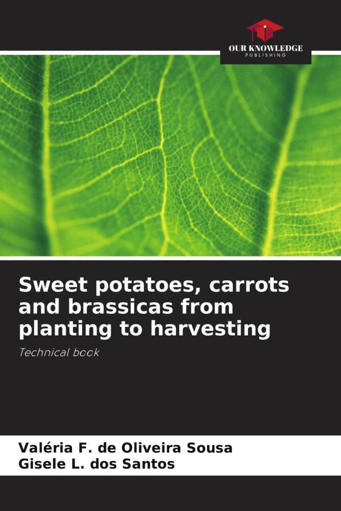 Sweet potatoes carrots and brassicas from planting to harvesting